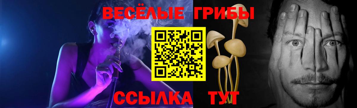 Вязьма  Галлюциногенные грибы мухоморы  Галлюциногенные грибы прущие грибы  Вход с VPN 